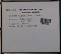 Image Associated With the Occurence